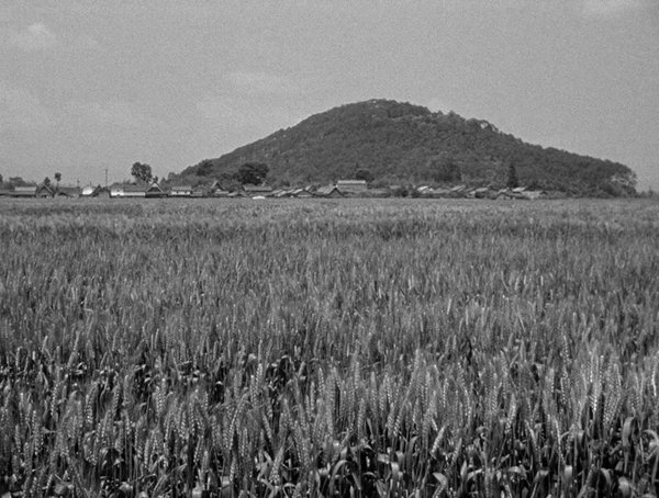 电影《麦秋》剧照