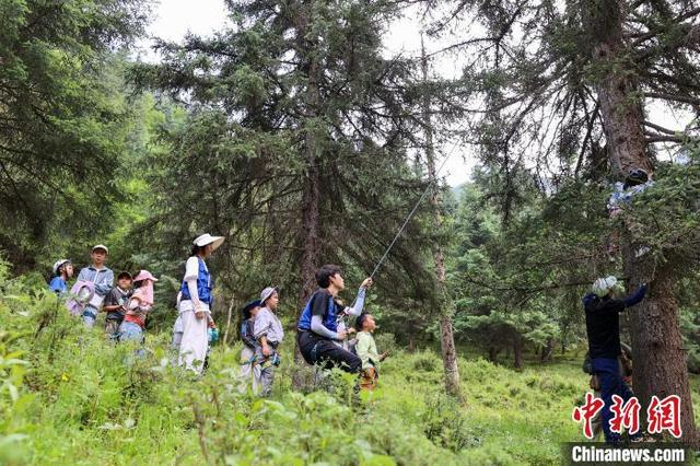 7月15日，小朋友在聚阳沟景区游览。中新社记者 薛蒂 摄