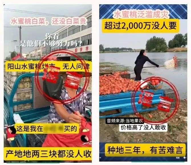 图源：江苏新闻