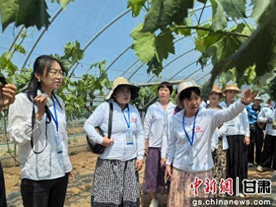 培训现场。钱河山 摄