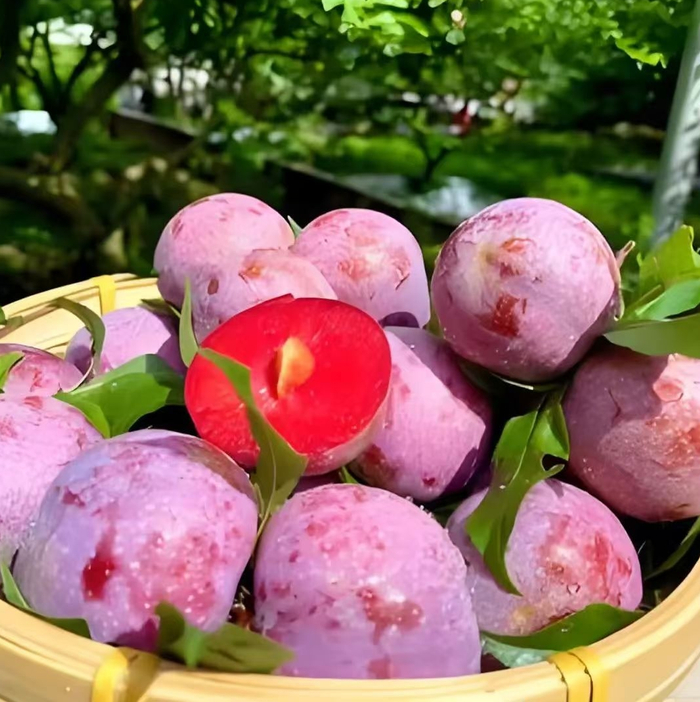 双合村特产三华李