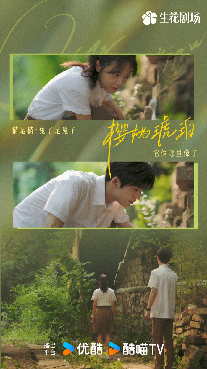 猫是猫，兔子是兔子。