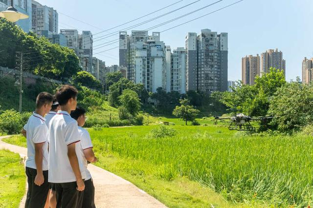 重庆智能工程职业学院学生在开展“三下乡”实践活动。校团委供图