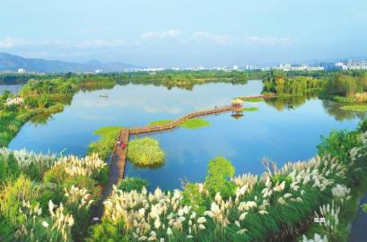 邛海烟雨鹭洲湿地公园。