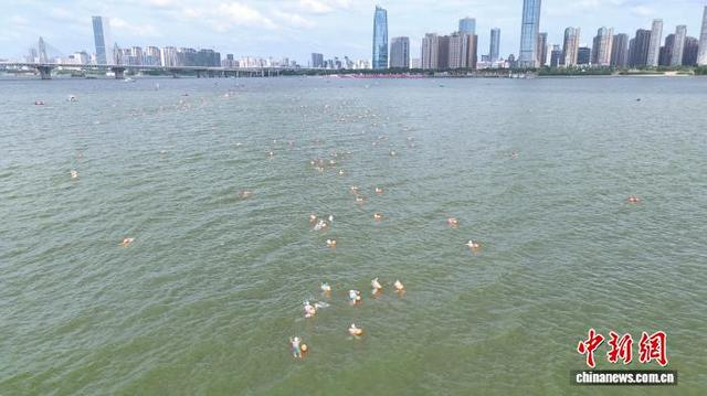 参加活动的游泳爱好者们横渡赣江。熊锦阳 摄 