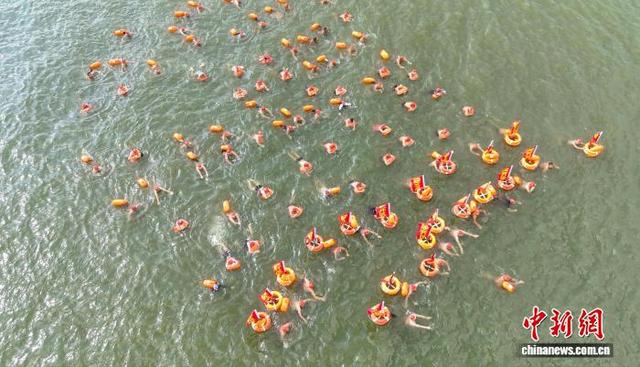 游泳爱好者们组成方阵横渡赣江。熊锦阳 摄 