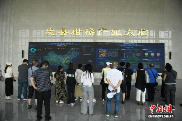 图为嘉宾参访忠县柑橘产业大脑。中新网记者 周毅 摄