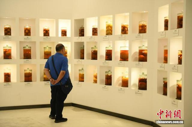 图为琳琅满目的柑橘标本吸引嘉宾参观。中新网记者 周毅 摄