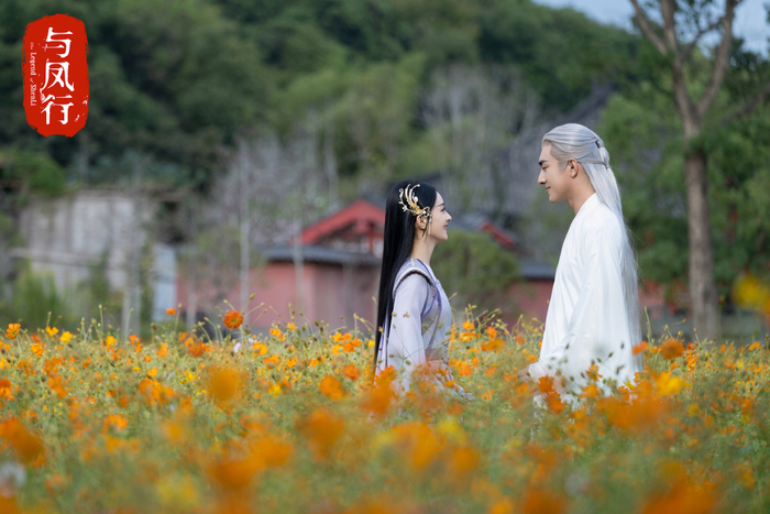 新丽传媒与导演邓科合作大剧《与凤行》