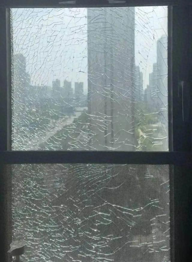 图源：央视网