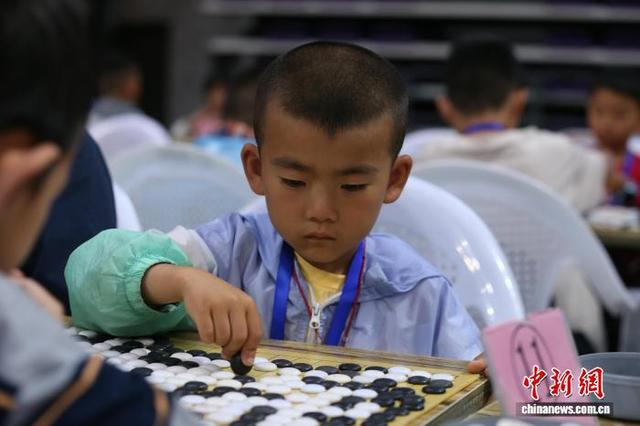 7月19日，2025年青海省青少年业余围棋定、升段赛在青海体育中心开赛，1523名青少年围棋选手同场对弈。张忠苹 摄