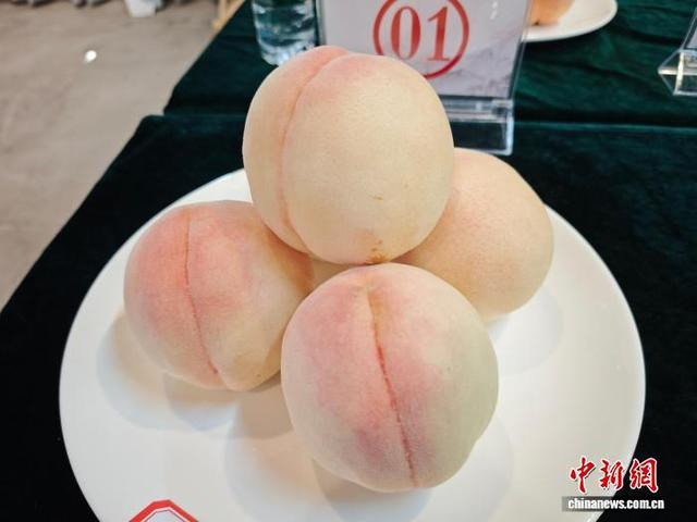 图为参选的阳山水蜜桃样品，果形周正。孙权 摄