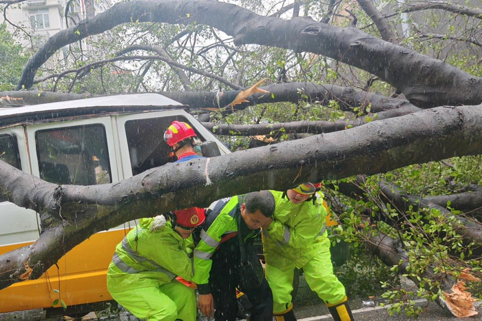 7月20日，在深圳市罗湖区，因树木和路灯倒塌有人被困车内，罗湖区消防救援大队的消防救援人员将被困人员救出。