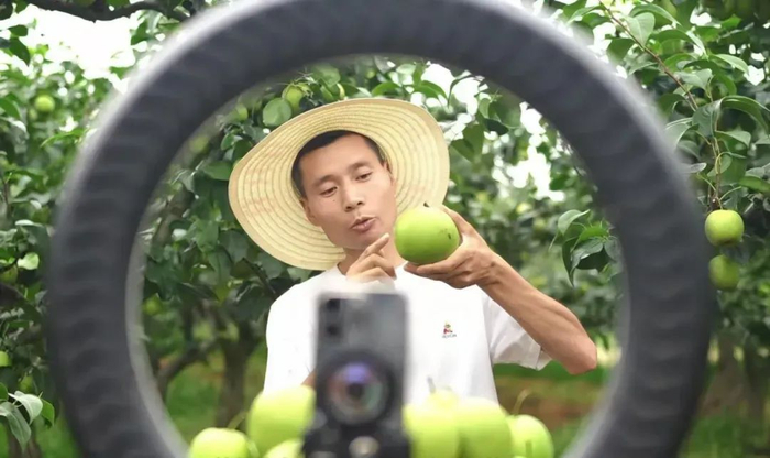 （图为果农直播现场）