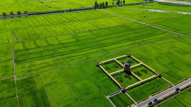7月18日拍摄的吉林省和龙市光东村的连片稻田（无人机照片）。新华社记者 邵泽东 摄