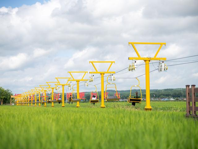 7月18日，在吉林省和龙市光东村，游客乘坐稻田低空缆车游览（无人机照片）。新华社记者 邵泽东 摄