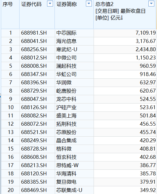 图片说明：科创板半导体总市值前20（数据来源：Wind）