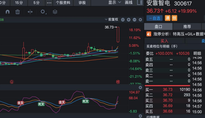 安靠智电(300617.SZ),雅江项目GIL设备潜在受益的民营单项冠军企业|安靠智电|电力_新浪新闻