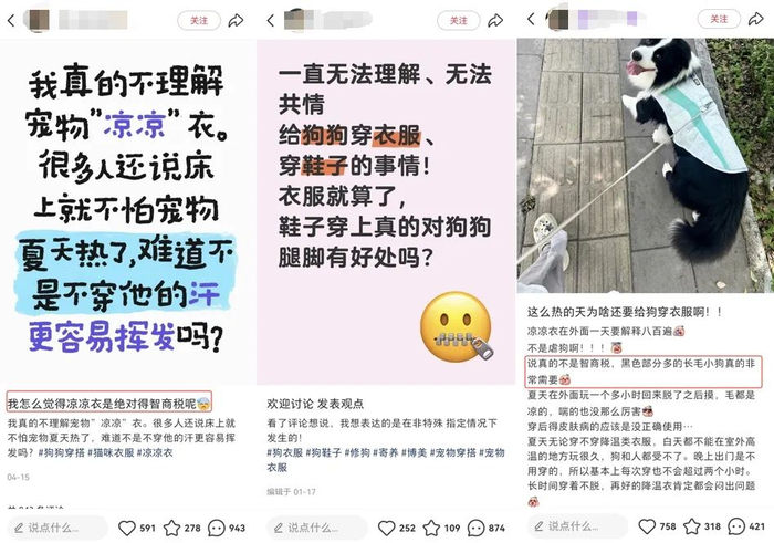 社交媒体上关于宠物衣服实用性的争论