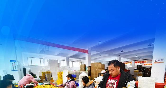 新华社权威速览•非凡“十四五”｜事关残疾人，这些数据和变化暖人心！