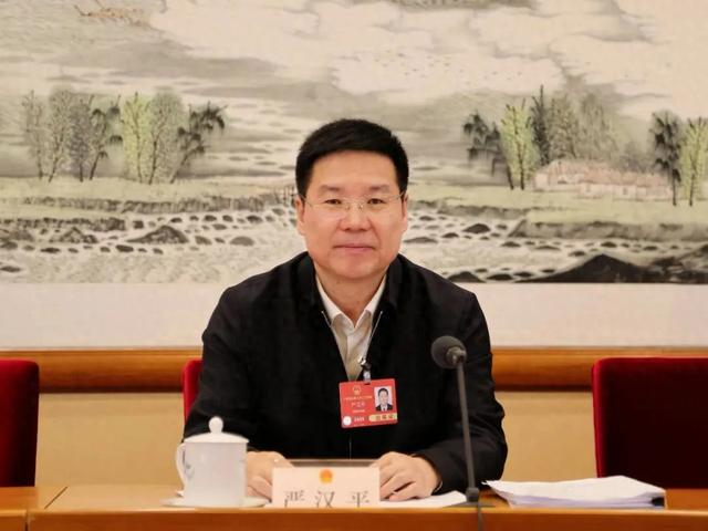 严汉平 资料图