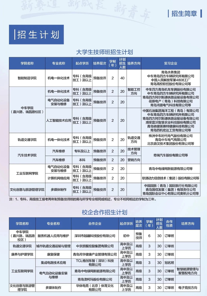 学校的招生计划。（图/青岛技师学院官网）