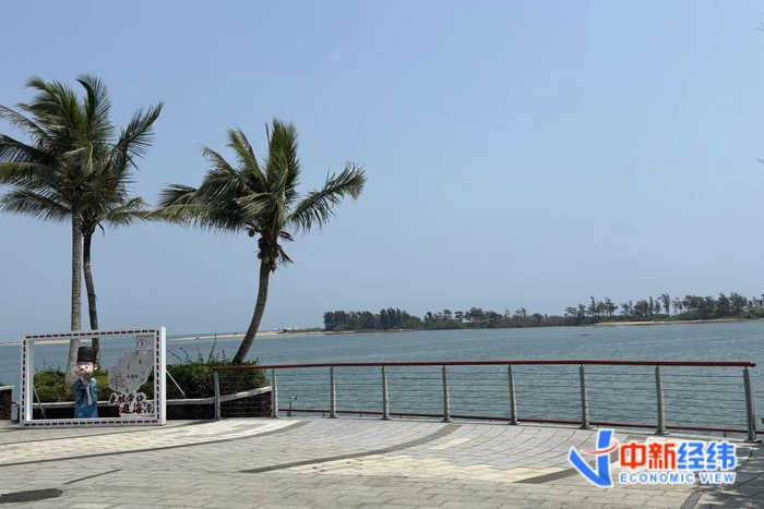 ▲资料图 中新经纬 王玉玲摄