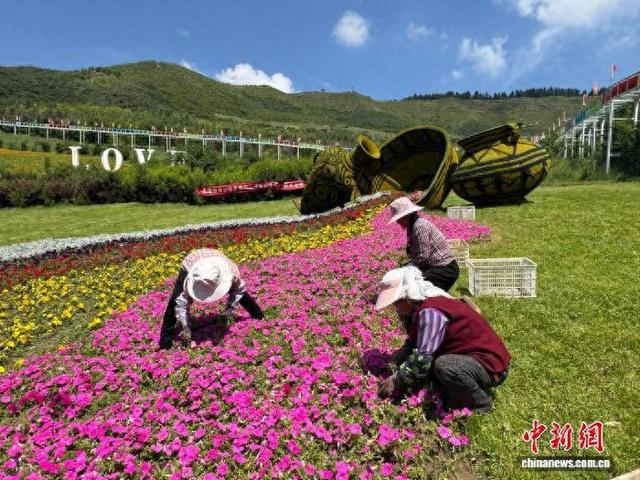 图为边麻沟花海景区内，临时务工人员在花丛中除草。潘雨洁 摄