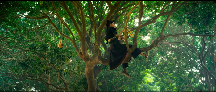 荔枝园中上下翻飞的侗女阿僮