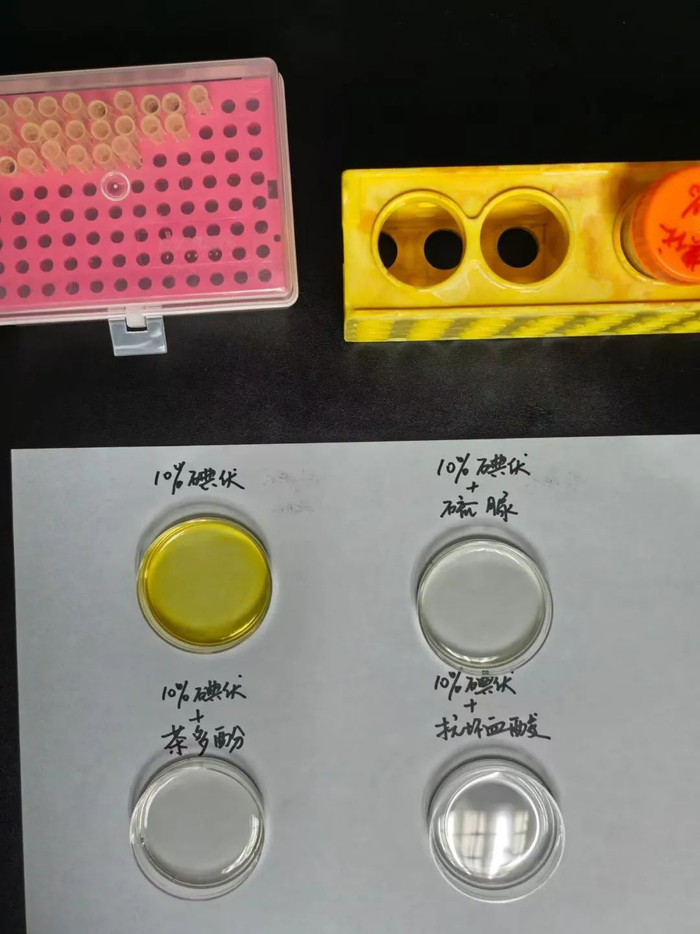 ▲碘伏溶液与相同浓度的硫脲、茶多酚与抗坏血酸（俗称维生素C）进行反应实验，静止3小时后的褪色效果对比。受访者供图
