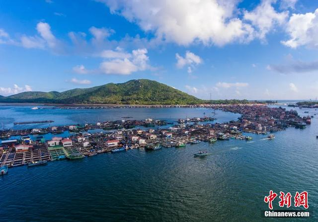 航拍视角下的陵水新村疍家渔排，展现了海南独特的海上人文景观。骆云飞 摄