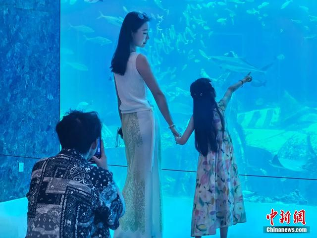 三亚·亚特兰蒂斯水族馆内，孩子们兴奋地贴着玻璃，好奇地观察游弋的鱼群。王雯 摄