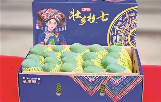 ▲高品质桂七芒，适合馈赠亲友。