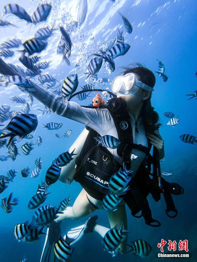 暑期旅游旺季，游客在大东海体验潜水，探索缤纷海底世界。大东海滨海水运动乐园潜水部 供图