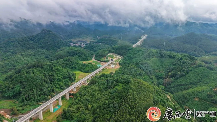 南凭高铁崇凭段。封荣权 摄