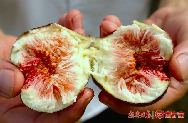 掰开的无花果。 （西乡塘区石埠街道办供图）