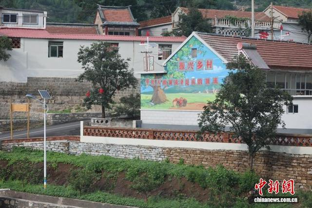 因山楂火出圈的济南市莱芜区牛泉镇庞家庄村，目前正打造仲夏狂欢季活动。活动将推出“山楂宴席”“山楂迷宫”等。孙婷婷 摄