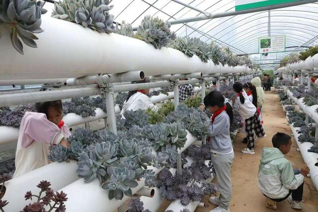 昭阳区红路馨居搬迁安置点托管点少年儿童在植物种植基地开展劳动实践课。（共青团昭通市委供图）