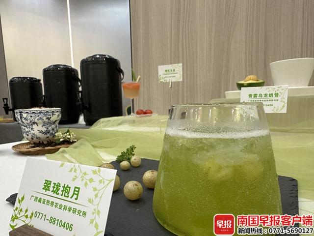 用山黄皮和乌龙茶融和而成的茶饮人气最高。本文图片均为南国早报全媒体记者张文卉摄