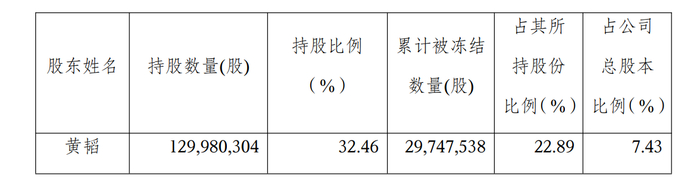 丽人丽妆公告截图