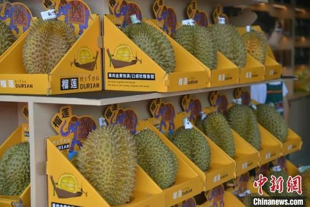 2024年7月19日，海南首家国产榴莲品牌旗舰店在三亚开业，图为店内供选购的国产榴莲。张月和 摄