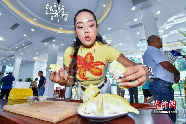 2025年6月8日，泰国网络博主品尝三亚“树上熟”榴莲。骆云飞 摄