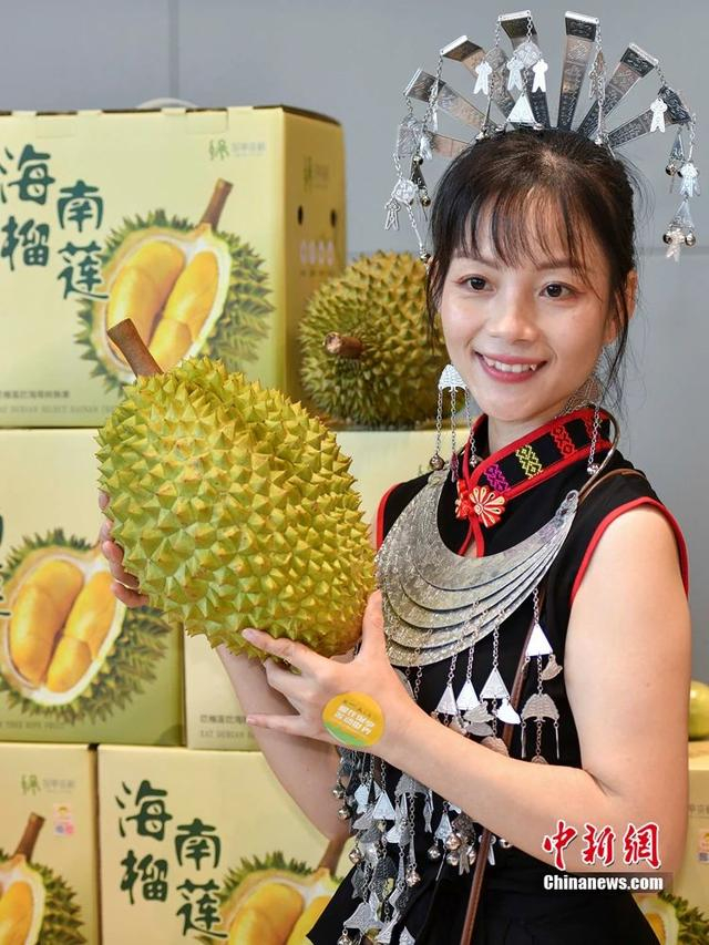 资料图：一位身着海南黎族传统服饰的女士手持国产榴莲拍照。骆云飞 摄