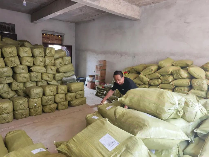 7月17日，工作人员打包猫尾草快递。新华社记者 刘克英 摄