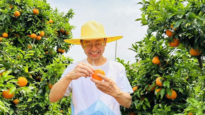 2025年5月,张福锁在云南大理宾川沃柑种植基地查看沃柑长势。中国农业大学供图