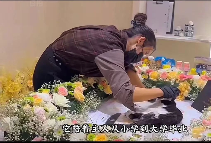 图源：网络