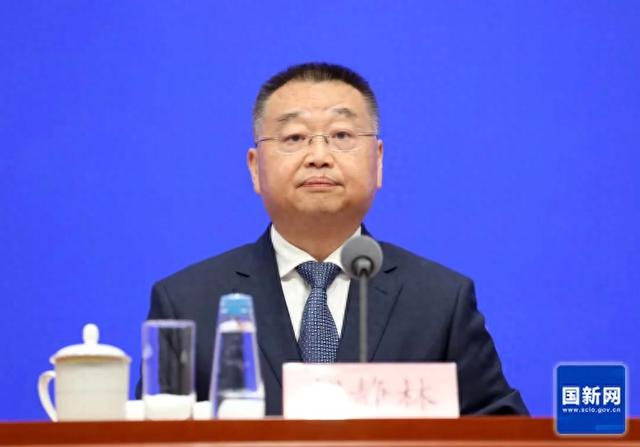 国家税务总局局长胡静林。图源：国新网