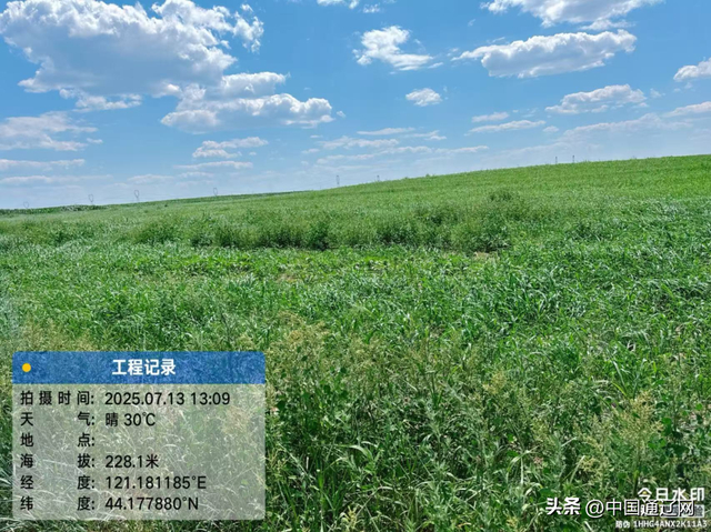 通辽市扎鲁特旗查布嘎图苏木保安村违法开垦草原恢复后