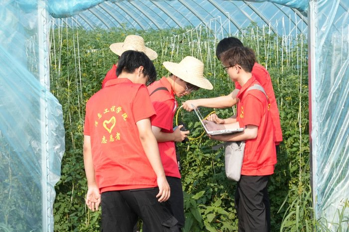 山西工学院信息工程学院暑期社会实践团队员在进行田野调查（图片来源：山西日报）