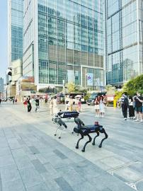 机器狗亮相春熙路商圈。